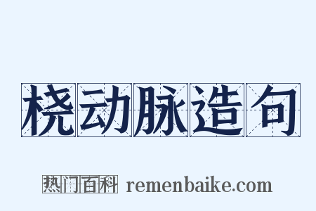 桡动脉造句是什么意思的图片